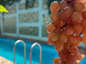 Гостевой дом Ирина-Gold