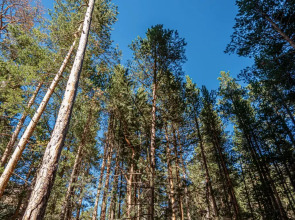 Апартаменты Классические с Красивым Видом у Реки от Квартирукинг