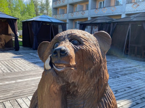 Отель Сегежа