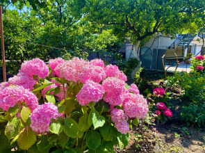 Гостевой дом U Norika i Susanny