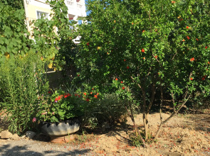 Частный дом Домик без докучливых хозяев