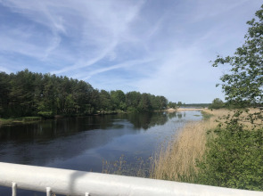 Квартира Студия Белые Пески в Сосновом Бору