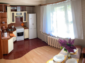 Апартаменты в центре Пушкиногорья