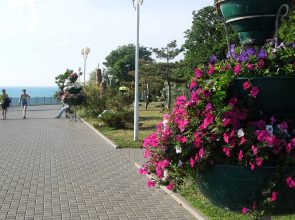 Берег Надежды (Анапа)