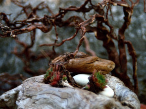 Мини-отель «Вилла Агрия»