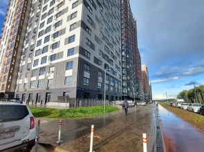 Апартаменты Flamingo Studio