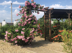 Гостевой дом Гранд камелия