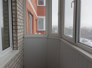 Апартаменты однокомнатные (117) Серебровская 91