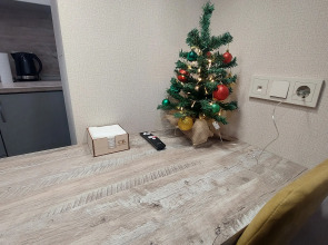 Апартаменты СВ Жираф студия 1