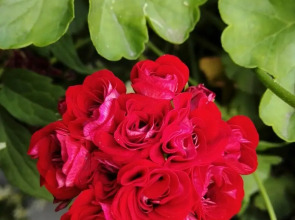 Гостевой Дом Ивановский