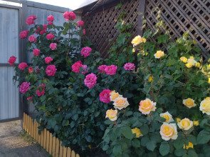 Гостевой дом Песчаный Берег