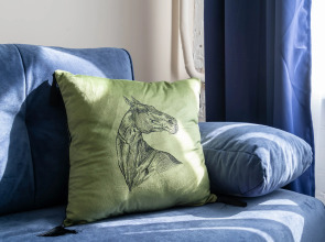 Квартира Студия на Петроградской Cтороне