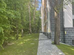 Апартаменты в сосновом лесу