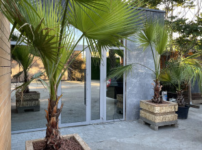 Апартаменты Аура-Крым