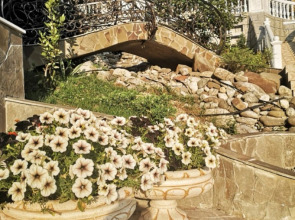 Отель Парк-отель Rivas