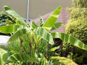 Гостевой дом Viva Виктория by Sun City Hotels