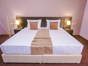 Отель Ani Central Inn