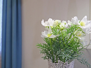 Квартира Granada Красивая евро-двушка в центре города