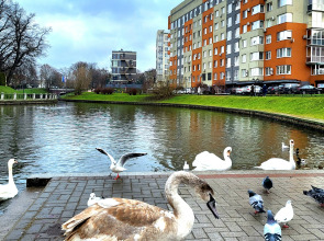 Квартира в центре у озера
