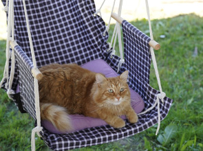 Дом Уютный в стиле Прованс