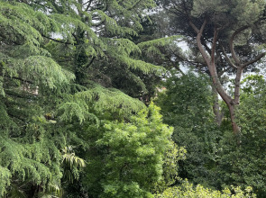 Квартира Уютная в Сочи