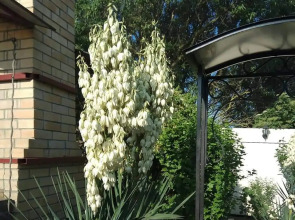 Гостевой Дом Морская 51