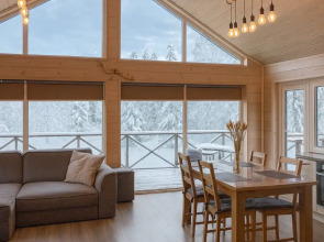 Частный дом Scandi house