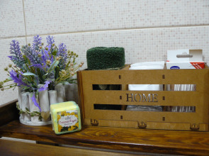 Апартаменты Рыжий Кот Дружный