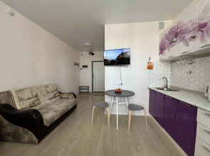 Квартира Студия Логинова 5/2-633