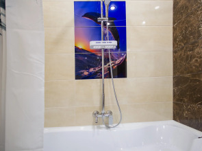 Апартаменты ViP Apart 4