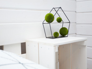 База отдыха «Хитрый Лис»