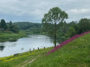 Частный дом Веселые гуси 5