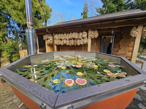 Коттедж Черничный Склон Violet House