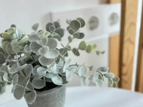 Апартаменты 4 Парка Мята