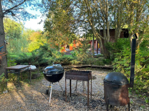 Вилла Ларсон