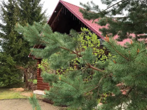 Гостевой дом Эко-отель Шанти