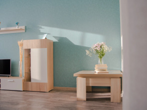 Апартаменты Argentum Home Дудинская 2