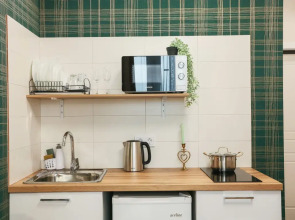 Апартаменты Уютные квартиры в Ново Ленино (2)