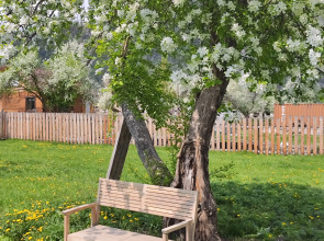 Усадьба Золотой медведь