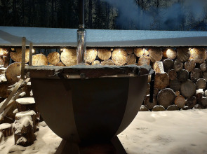 Коттедж Черничный Склон Forest House