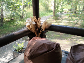 Частный Дом Уютный Домик в Лесу у Пруда