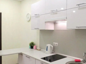 Квартира с прекрасным видом на реку Волхов