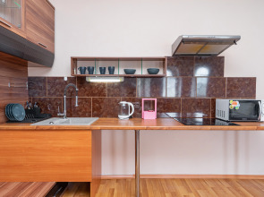 Апартаменты с Шикарным Видом на Кремль