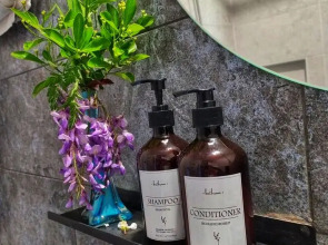 Частный Дом Шанти