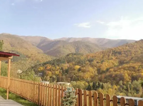 Гостевой дом Popock Dilijan