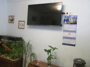 Отель Золотая рыбка