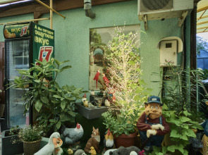 Гостевой Дом София