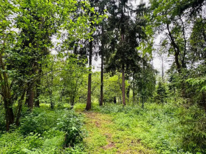 Шале Зеленый домик в лесу на Живописной улице