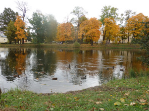 Квартира Soul Home