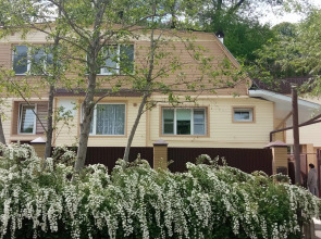 Гостевой дом у горы Сосновки